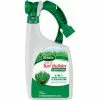 Scotts Turf Builder 32 Oz. 2000 Sq. Ft. 29-0-3 Liquid Lawn Fertilizer -Varatane Sales ItemImage 703594 q5wp34 1vkqpc 34dhbr