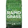 Scotts Turf Builder Rapid Grass 16 Lb. Tall Fescue Mix Seed & Fertilizer Combination 1 Scotts Turf Builder Rapid Grass 16 Lb. Tall Fescue Mix Seed & Fertilizer Combination -Varatane Sales ItemImage 760411 qff4e8 sdyw8 aanqwa