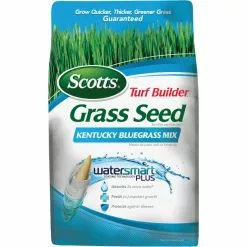 Scotts Turf Builder 3 Lb. Up To 2000 Sq. Ft. Coverage Kentucky Bluegrass Grass Seed